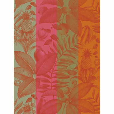 4 Torchons Fruits Exotiques 3 col. Le Jacquard Français