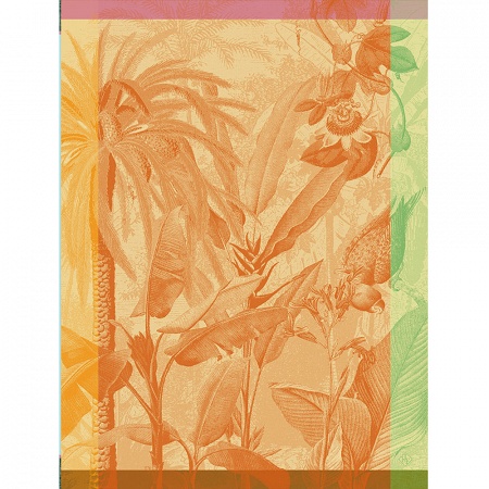 4 Torchons Equa­teur Toucan 60×80 cm Le Jacquard Français