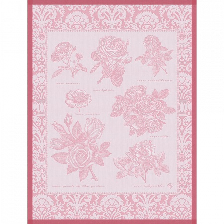 4 Torchons Jardin des Roses Pétale 60×80 cm Le Jacquard Français