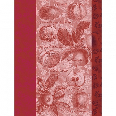 4 Torchons Pommes à Croquer Reinette 60×80 cm Le Jacquard Français